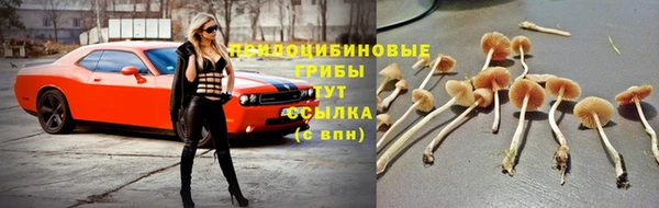 спиды Липки